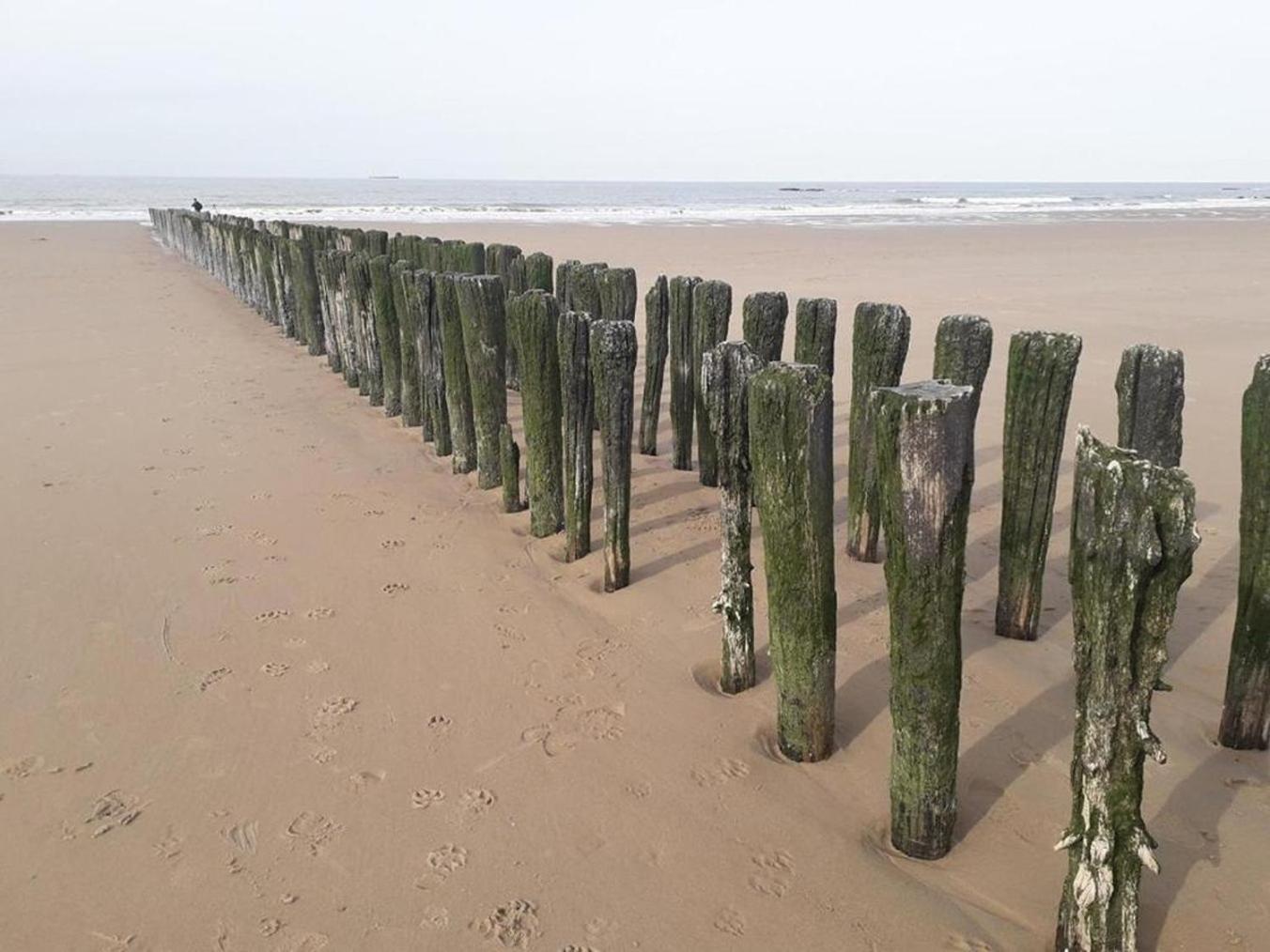 Maison Noomi Knokke-Heist Zewnętrze zdjęcie